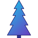 decoration,nature,botanical,xmas,park,garden,yard,forest,pine,christmas tree
